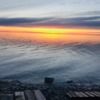 sunsetkat